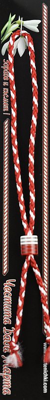 Гривна с двуцветен цилиндър PICTURE OF ITEM 1255